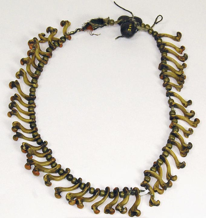 Young Spotted Tail turtle bone necklace [2199]