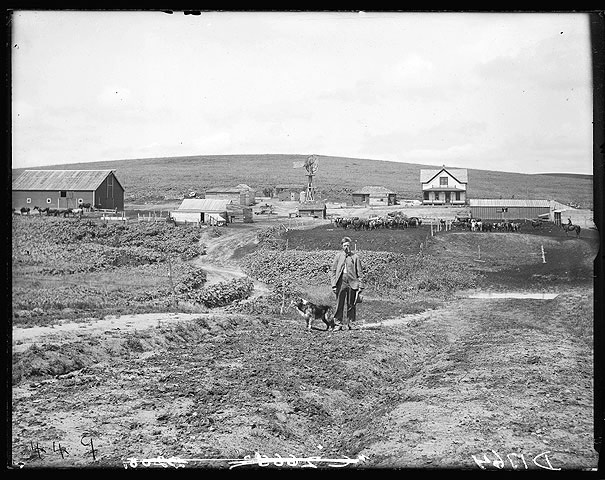 Anton Smock and his farm near Oconto, Custer County, Nebraska, 1904 [RG2608.PH1764]