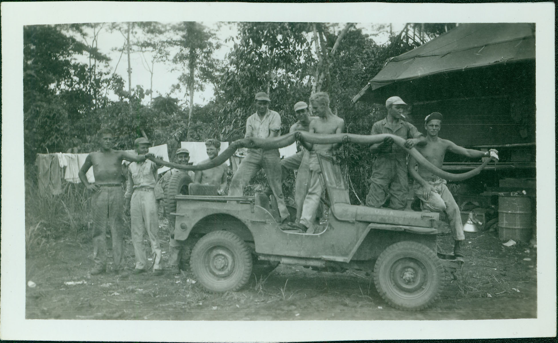 Men with large snake on jeep [RG5841-9-11]