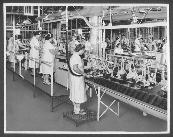 Poultry production, Omaha plant  (RG4218.PH1-31)