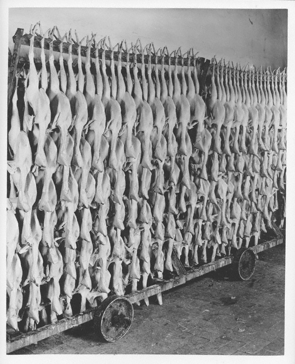 Poultry production, Omaha plant (RG4218.PH1-45)