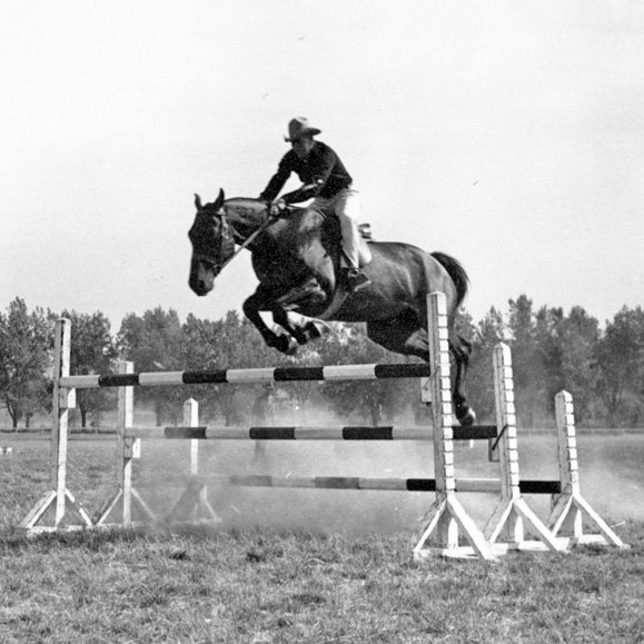 man on horseback, jumping barrier