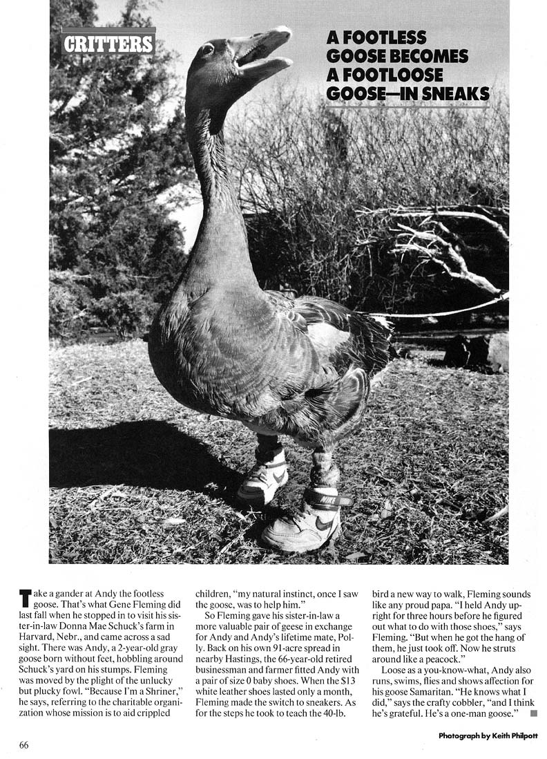Andy, the Footless Goose (People Magazine, 1989)
