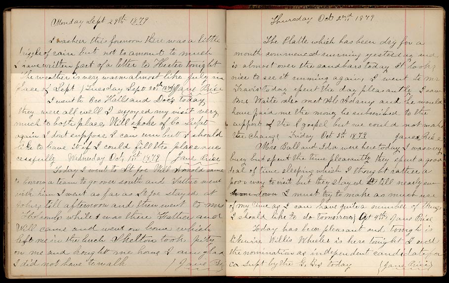 Price diary, 1879