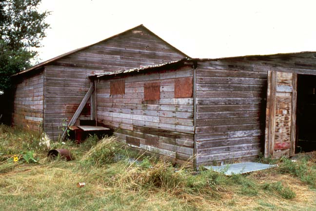 Blagdon shed