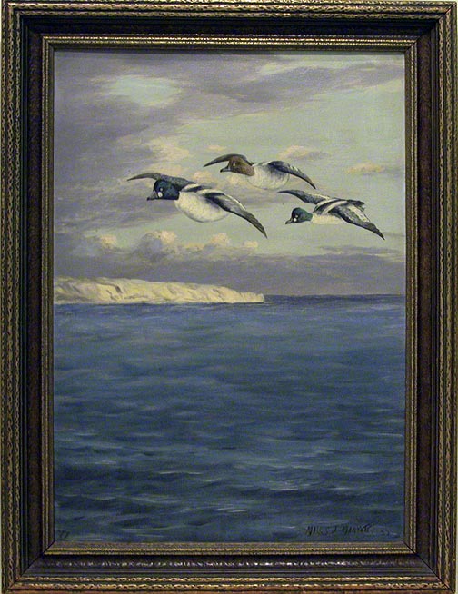 Flying Ducks by Miles Maryott (NSHS 10220-93)
