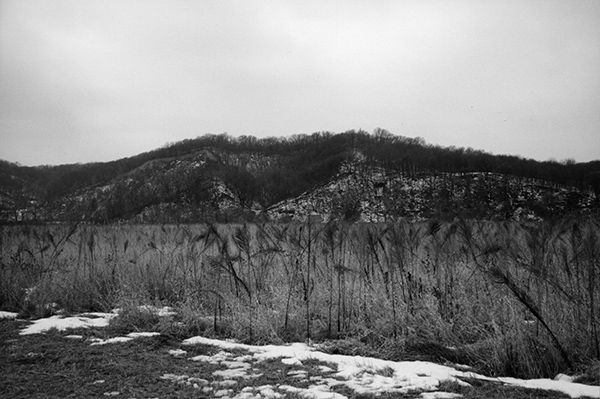 photo of wooded bluff