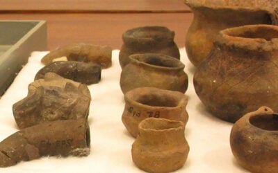 Archeological Technician