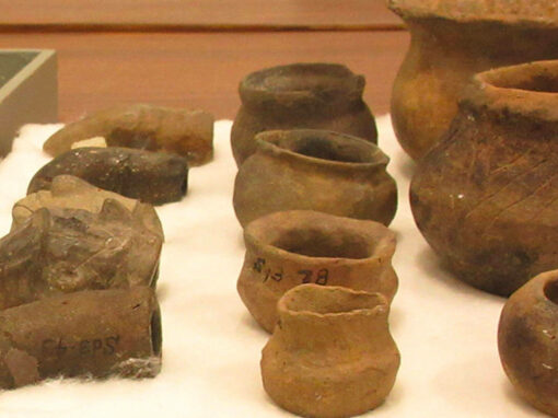 Archeological Technician