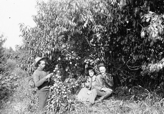 Watson Ranch Archives - History Nebraska