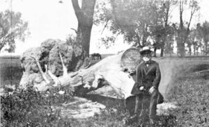Fort Kearny parade grounds, 1864-65, with Moses H. Sydenham sitting on a log. NSHS RG2102-5-6