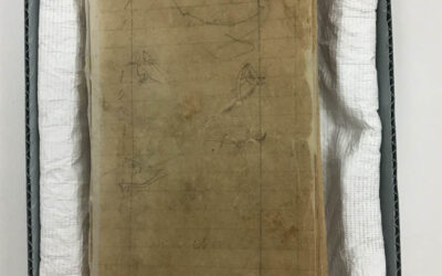 Ledger Art Continued