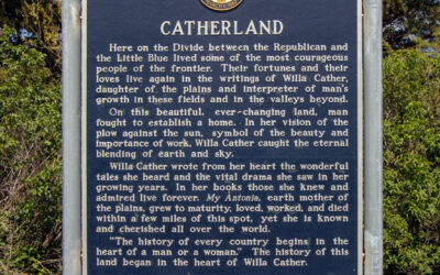 Marker Monday: Catherland