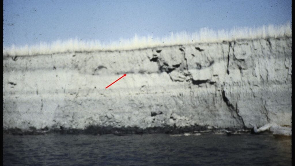 A riverbank with exposed soil layers, topped with grass, features a red arrow pointing to a specific layer in the middle of the eroded bank.