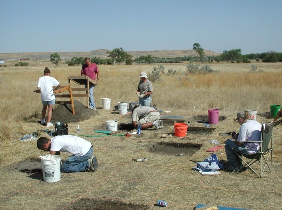 A group of people are excavating an archaeological site in a dry, grassy field, using buckets, tools, and grids marked on the ground.