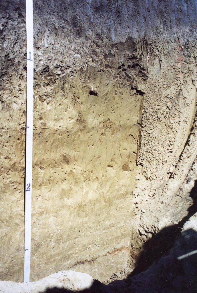 A soil profile with visible layers and a vertical measuring scale marked with "1" and "2" along the left side.