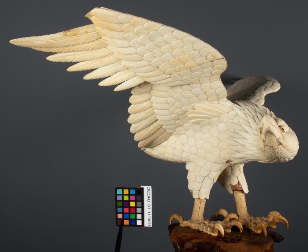 Ivory sculpture of a large bird of prey, possibly an eagle or owl, with wings spread, head turned down, displayed on a wooden base with a color calibration card beside it.