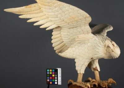 Repairing an Ivory Eagle Sculpture from Late 19th-Century Japan