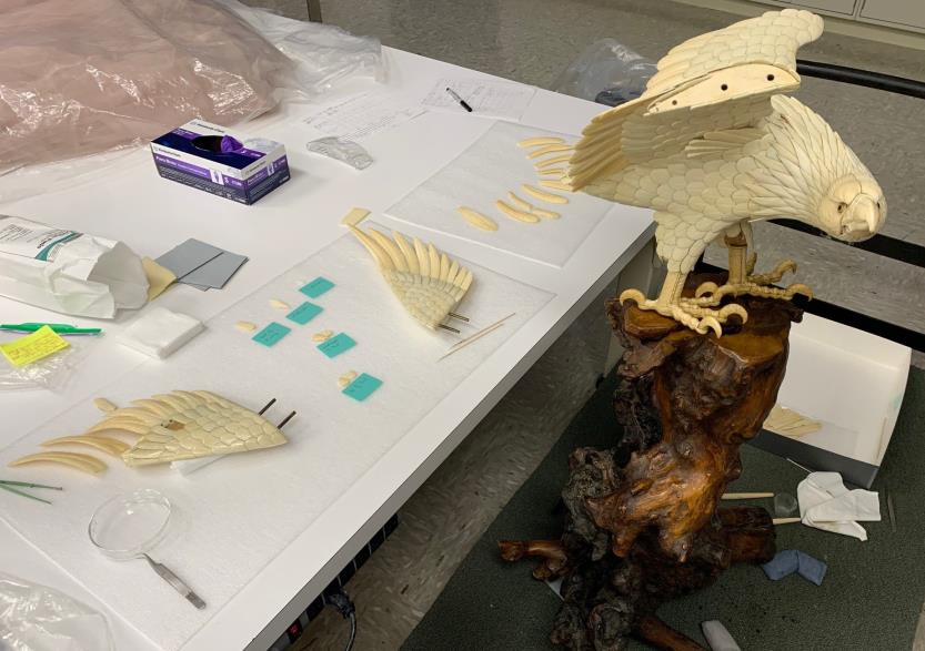 An intricately carved bird sculpture is being restored on a table, with disassembled feather pieces, tools, gloves, and restoration materials arranged nearby.