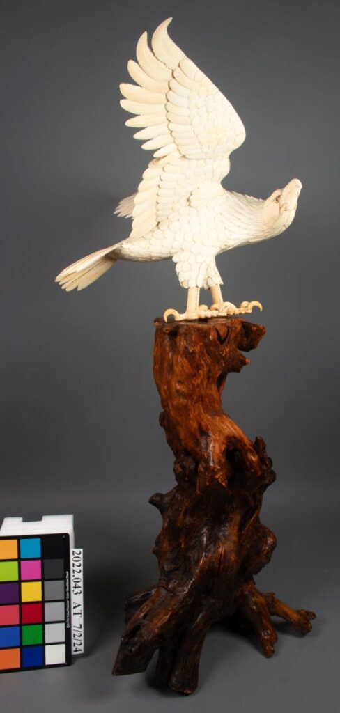 A carved ivory eagle with outstretched wings perched on a textured wooden base, shown next to a color calibration card and a measuring scale.