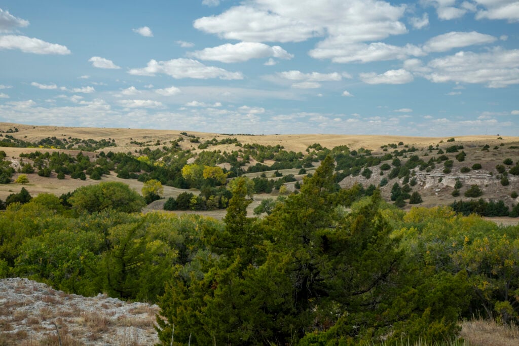 Rolling hills with scattered trees and shrubs under a partly cloudy sky, featuring green vegetation in the foreground and dry grass in the distance.