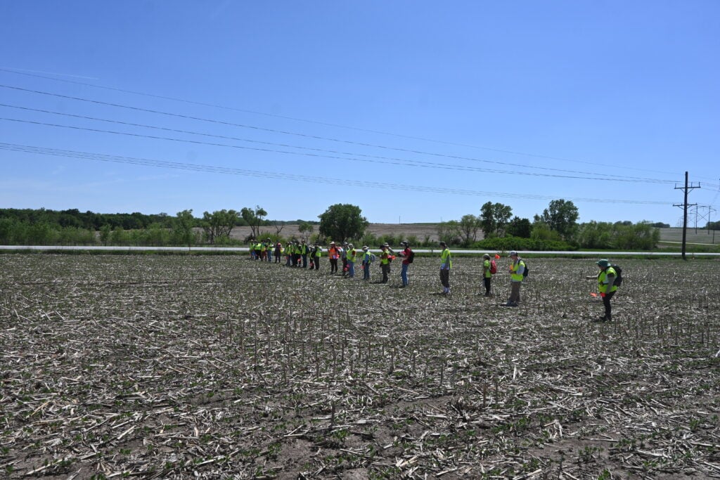 A group of people in safety vests stand in a line across a harvested field under a clear blue sky, near a road and power lines.